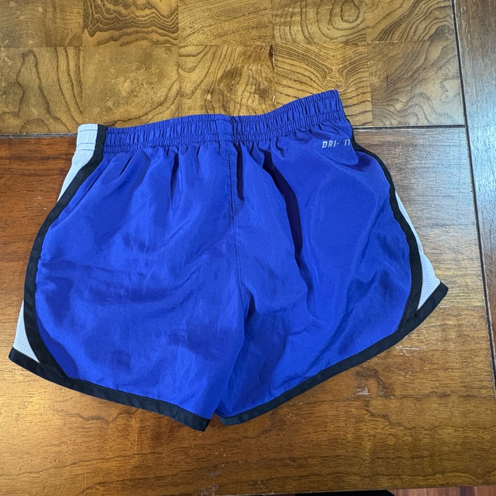 Nike Bluish Purple Running Shorts - Picture 2 of 3